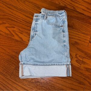 American Eagle Outfitters Light Blue Denim Shorts